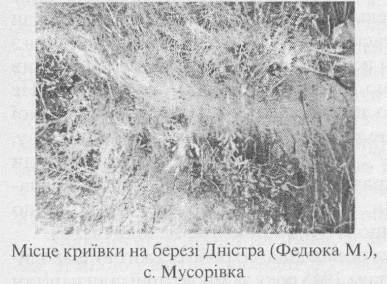 Криївка на березі Дністра
