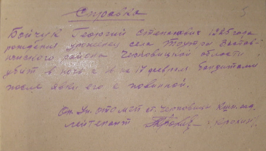 Довідка щодо Бойчука Георгія