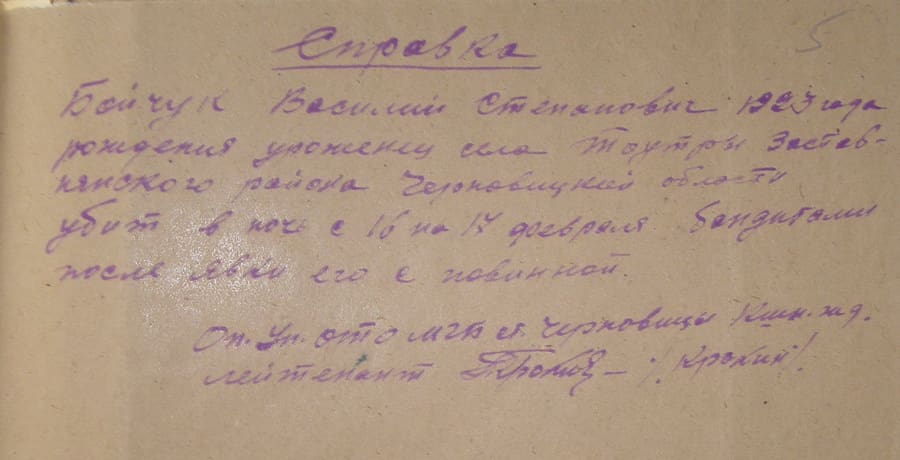 Довідка про Василя Бойчука