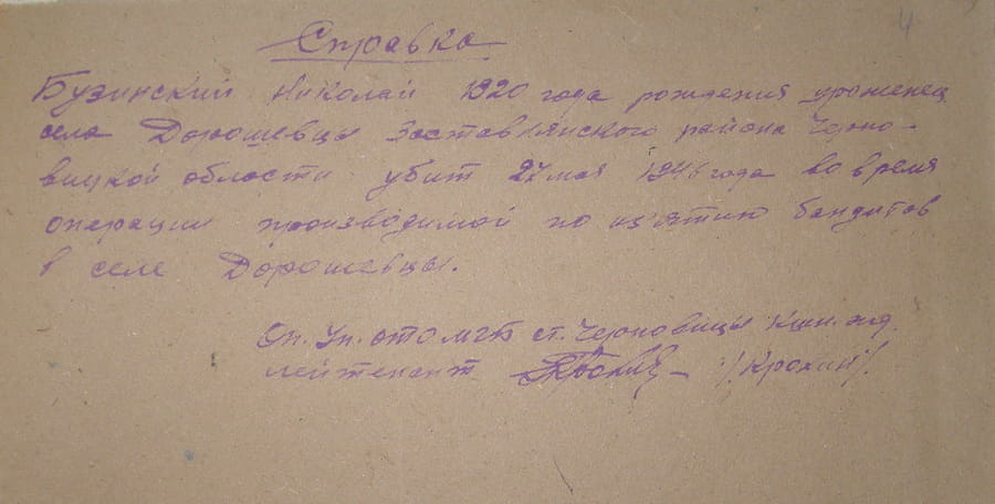 Довідка про Миколу Бузинського