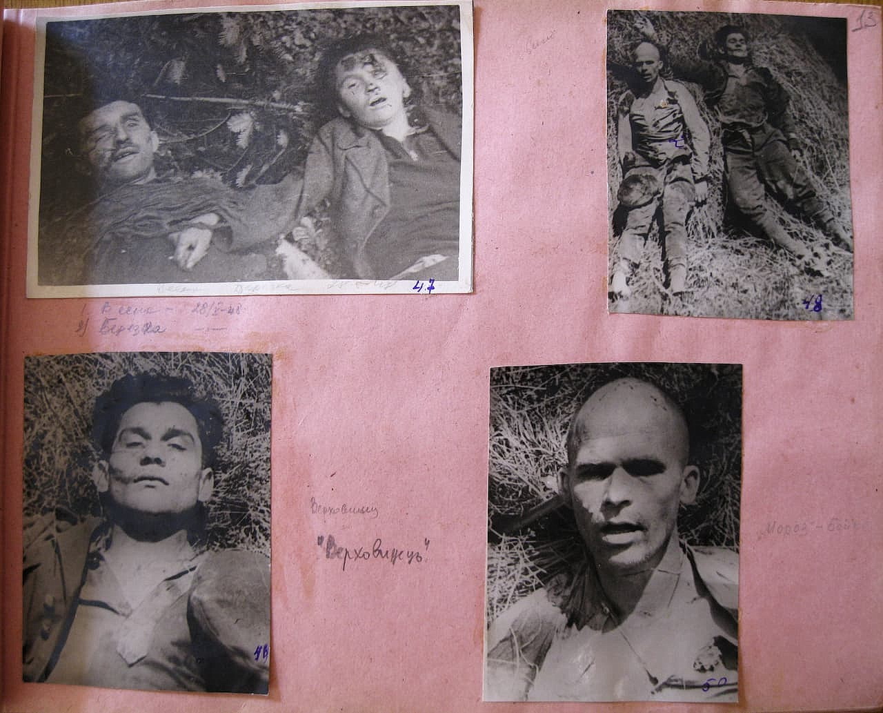 Фотоальбом. Сторінка 13