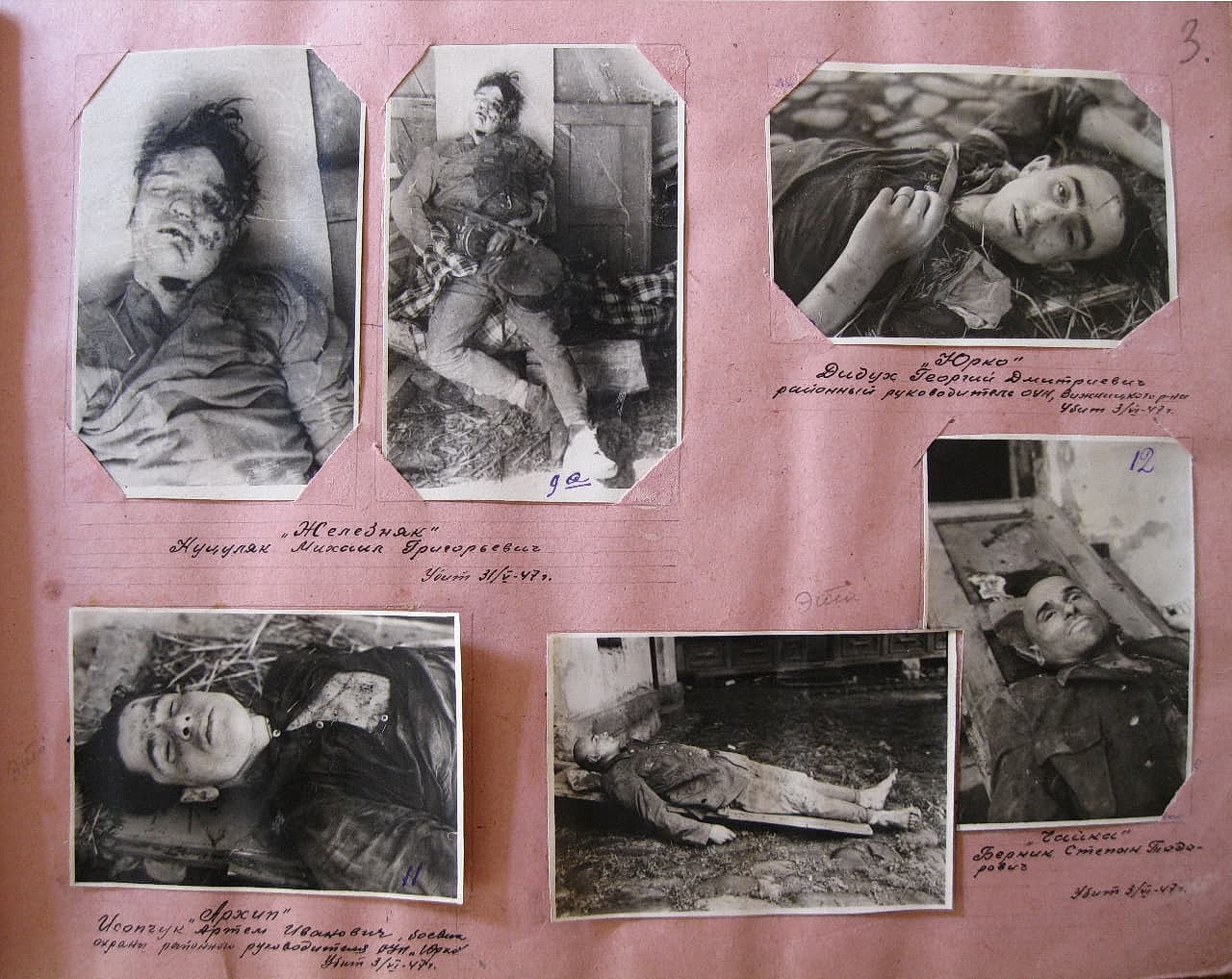 Фотоальбом. Сторінка 3