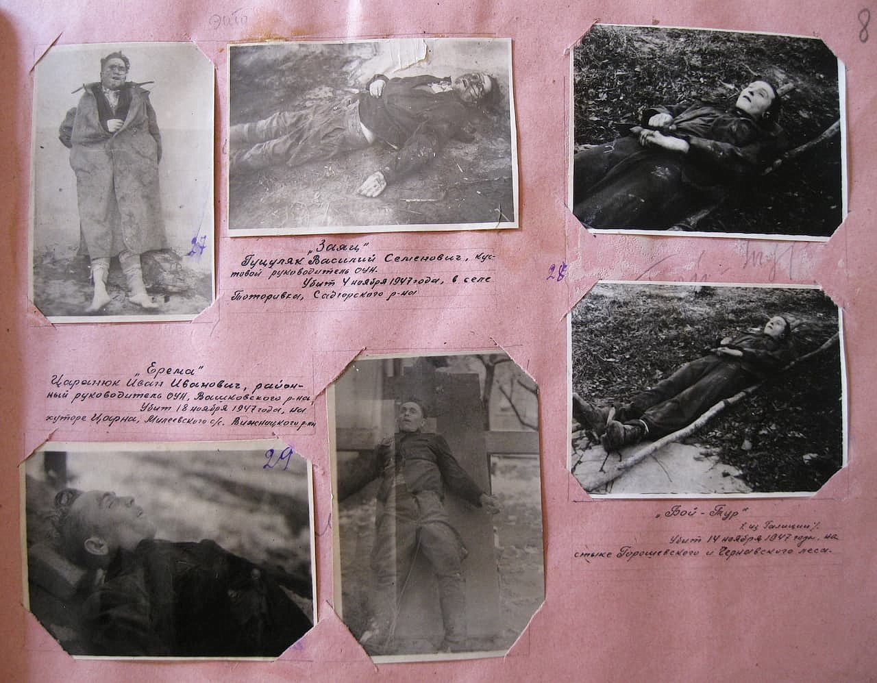 Фотоальбом. Сторінка 8