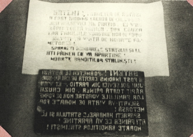 ОУН і румунська національна меншина