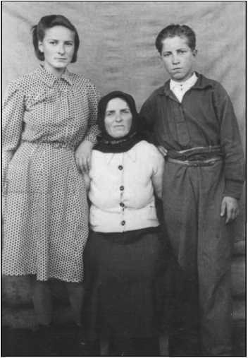 Родина Плешка