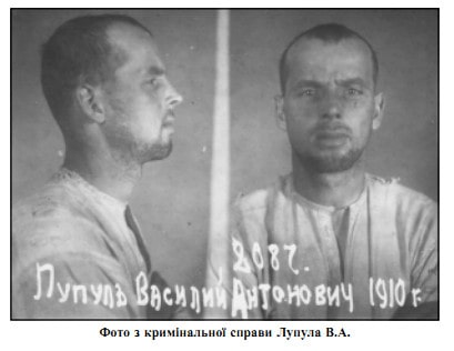 Василь Лупул